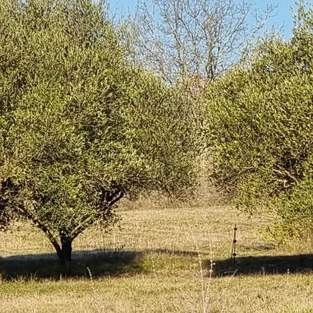 Privatunterkunft Le Domaine Du Moulin De Cors *