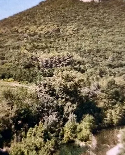 Le Domaine Du Moulin De Cors * La Roque-sur-Cèze