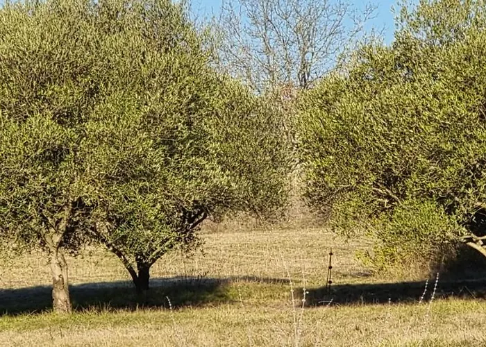 Kwatera prywatna Le Domaine Du Moulin De Cors *